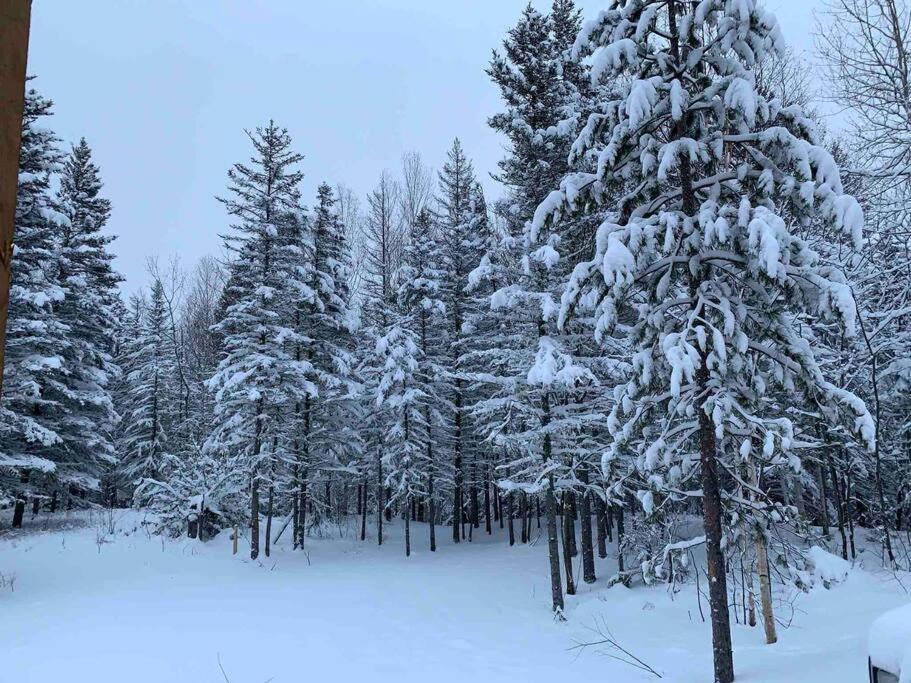 Appartement Mont Edouard, Hebergement Paisible A La Montagne Л'Анс-Сен-Жан Экстерьер фото